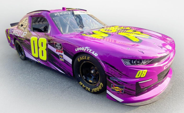 wawa 250 race